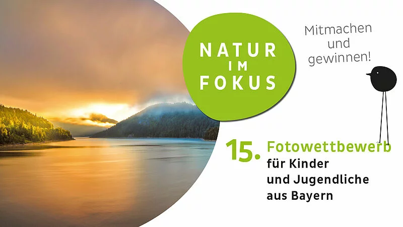 Fotowettbewerb – Natur im Fokus